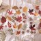 380 Pcs Natural Flower Scrapbook Stickers - Garden 8.7 x 7.5 x 0.1 inches